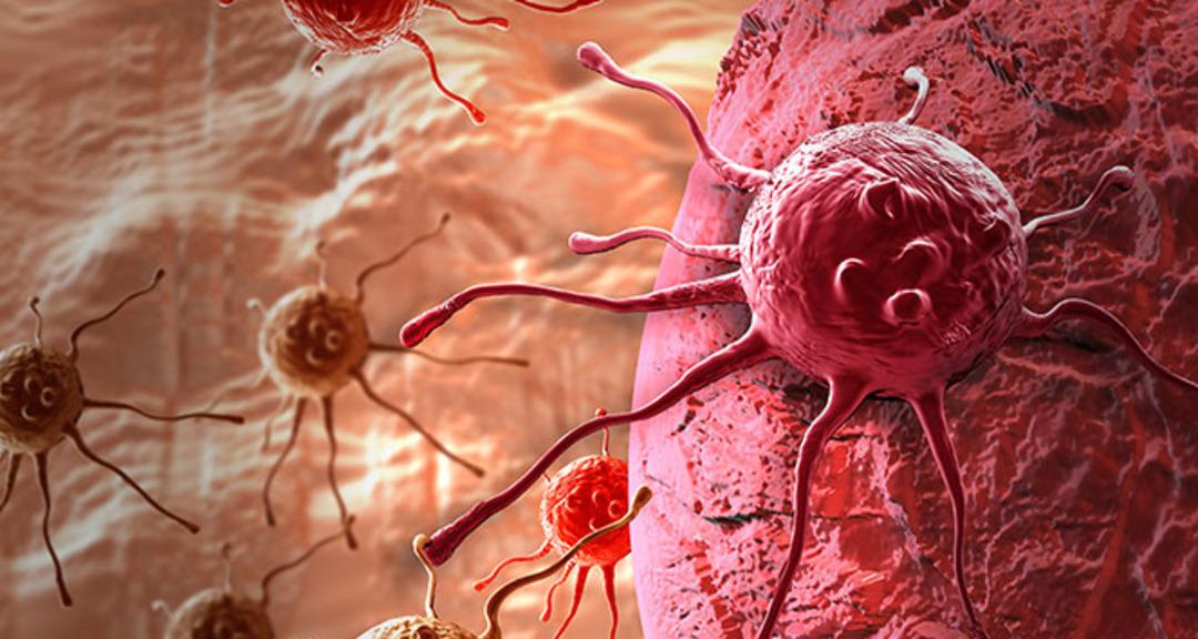 Yeni Bilimsel Araştırma: Mide kanseri riskini artırır! Uzmanlardan obezite uyarısı ... 3