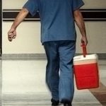 Büyük Ulusal Meclis Türkçe’de kabul edildi: Organ bağış süreçlerinde dönüşüm başlıyor! Organ bağış dönemi e-devlet aracılığıyla geliyor: bağışçıların akrabalara öncelik verecek …