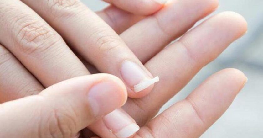 Neler dolaşıyor? Doldurmak için iyi olan, nasıl geçiyorsunuz?