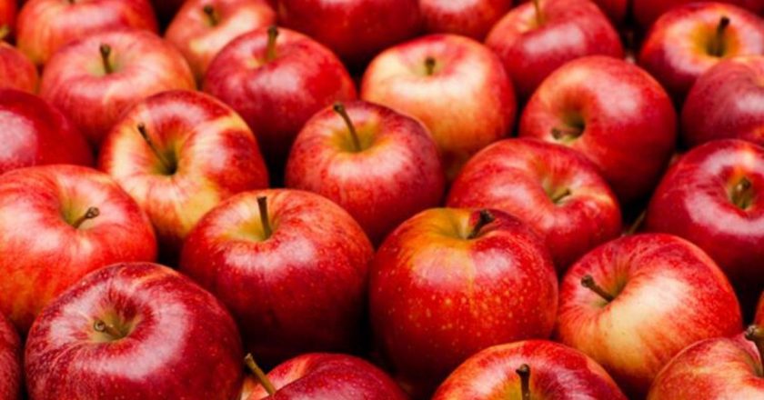 Apple’ın beslenme değerleri nelerdir? Kaç kalori içeriyorlar, hangi vitaminleri içeriyorlar?