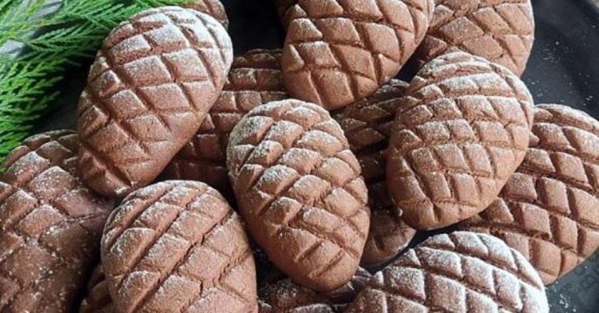 Akciğerlerin temizlenmesi: Konilerin faydaları nelerdir? Coni makarna ne yapıyor?