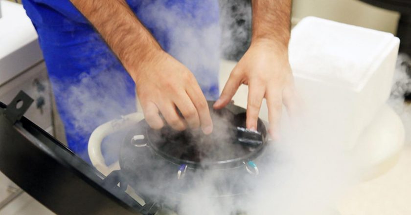 Sperm bankalarında yeni adet zorunluluğu: IQ testi zorunlu hale geldi!